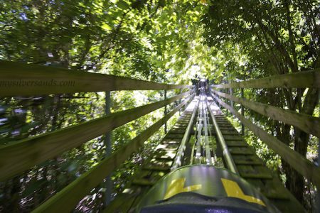 Mystic Mountain Adventure